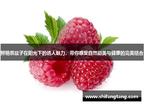 鲜艳覆盆子在阳光下的诱人魅力，带你感受自然甜美与健康的完美结合