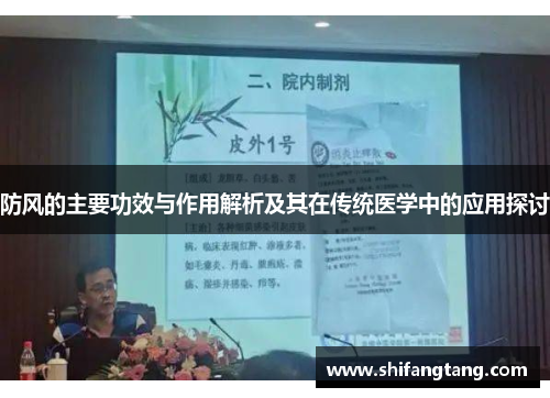 防风的主要功效与作用解析及其在传统医学中的应用探讨