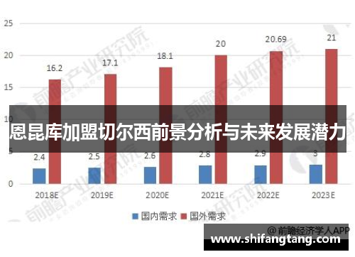 恩昆库加盟切尔西前景分析与未来发展潜力